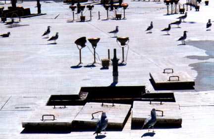 One of the many Access Hatches.